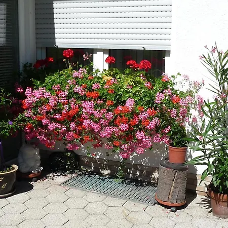 Apartment Graceful In Velmede With Garden