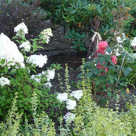 Graceful In Velmede With Garden