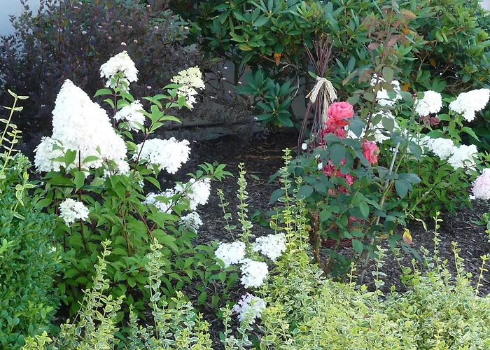 Graceful In Velmede With Garden Lejlighed *