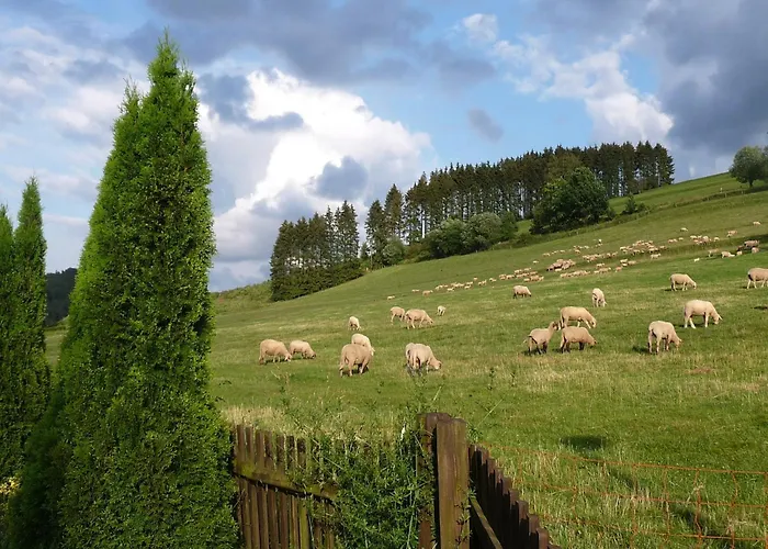 Graceful In Velmede With Garden * Bestwig